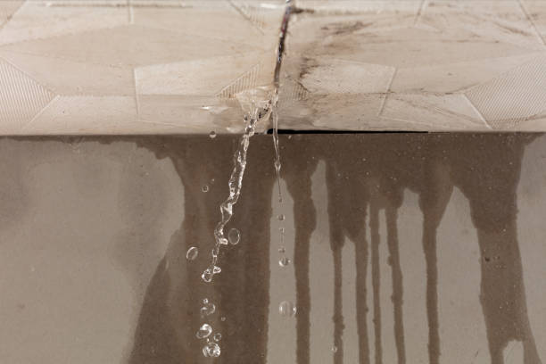Professional Burst Pipe Cleanup technician working in Norris, TN